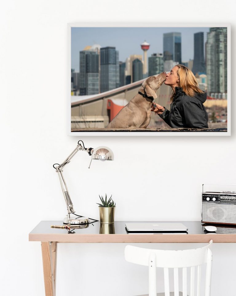 Office wall with a portrait of Calgary dog mom kissing her dog in a frame
