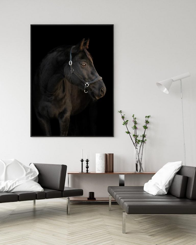 Portrait on living room wall of Calgary Horse in a frame