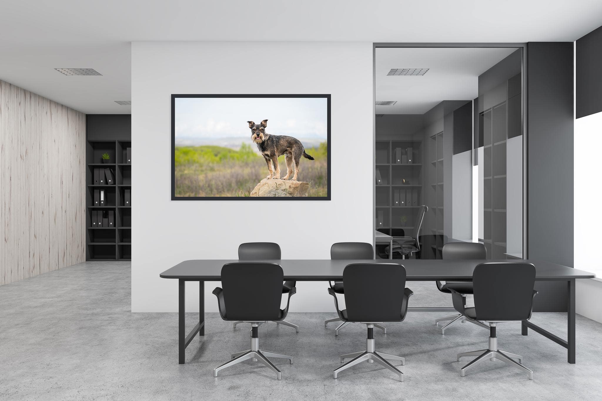 Portrait of a dog hanging on the wall of an office boardroom in Alberta