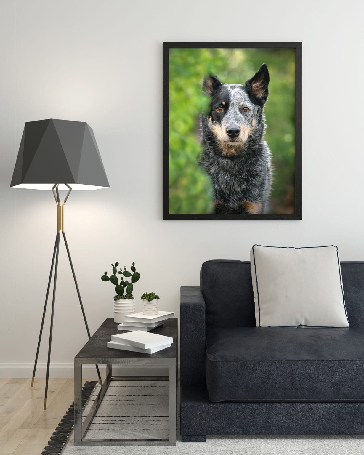 Blue Heeler framed canvas portrait hanging on the wall in a Calgary living room