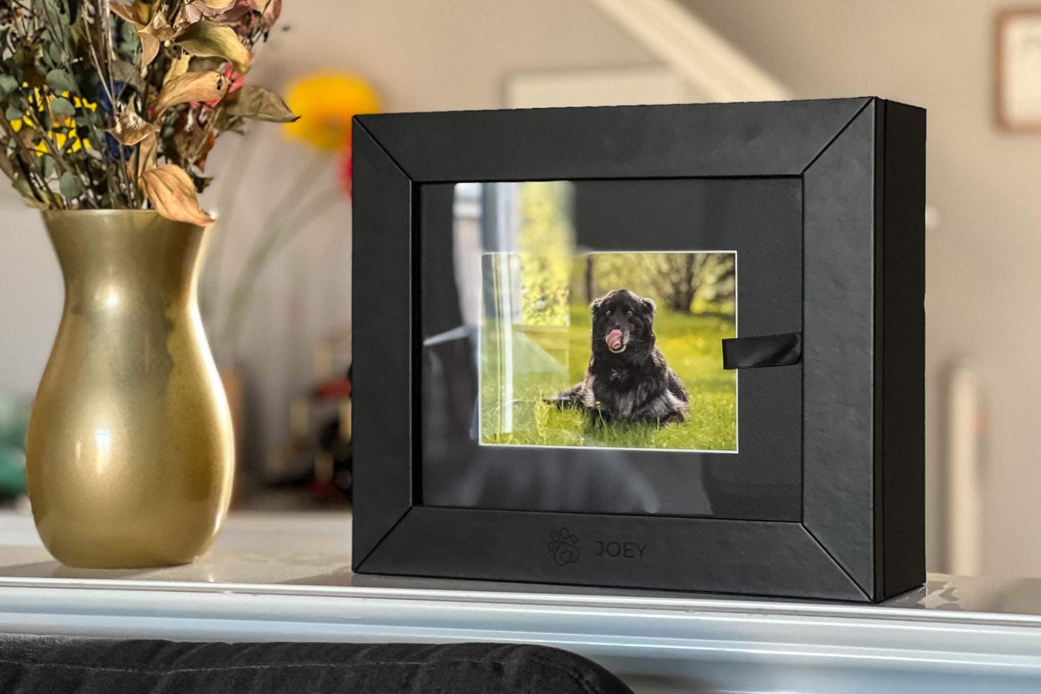Memorial portrait keepsake window box with a dog portrait inside
