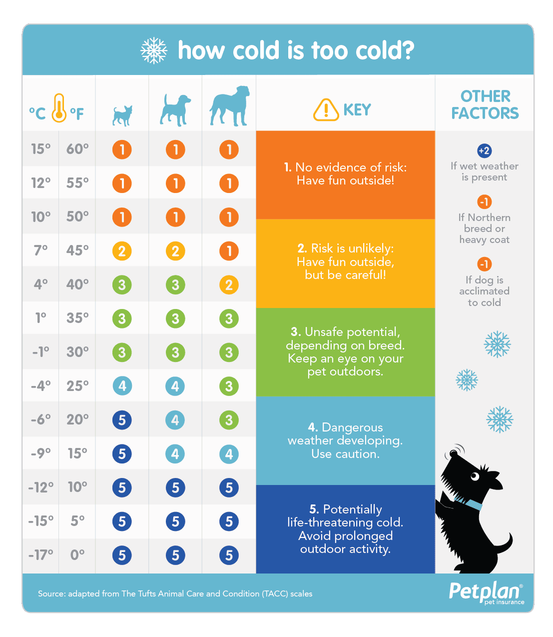 Chart showing how cold is too cold for dogs outside