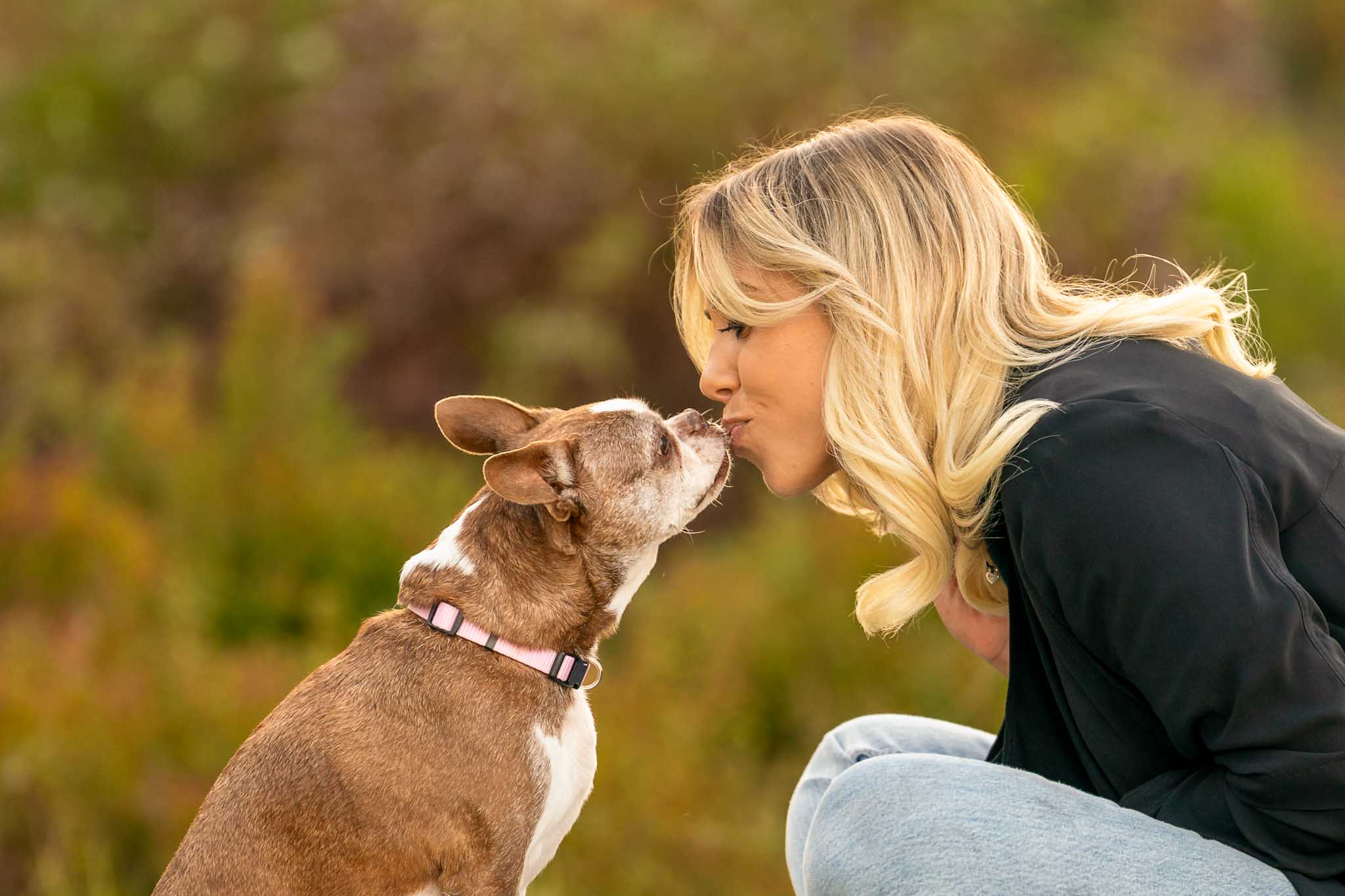 a boston terrier dog leaning in to kiss his human mom on the lips, photographed in a Calgary park by Heidi Grace Pet Photography